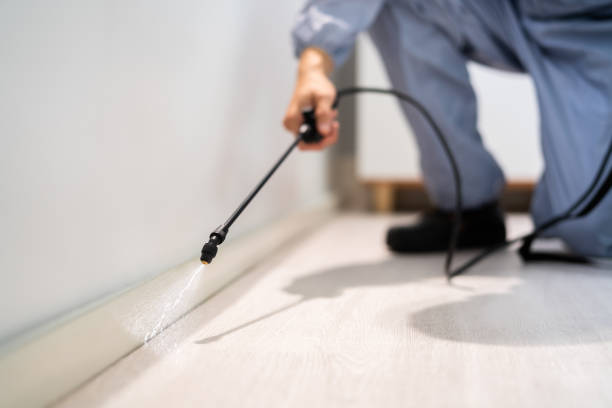 Licensed Fumigation Services service in Queen Anne, MD - Nex Pest Control